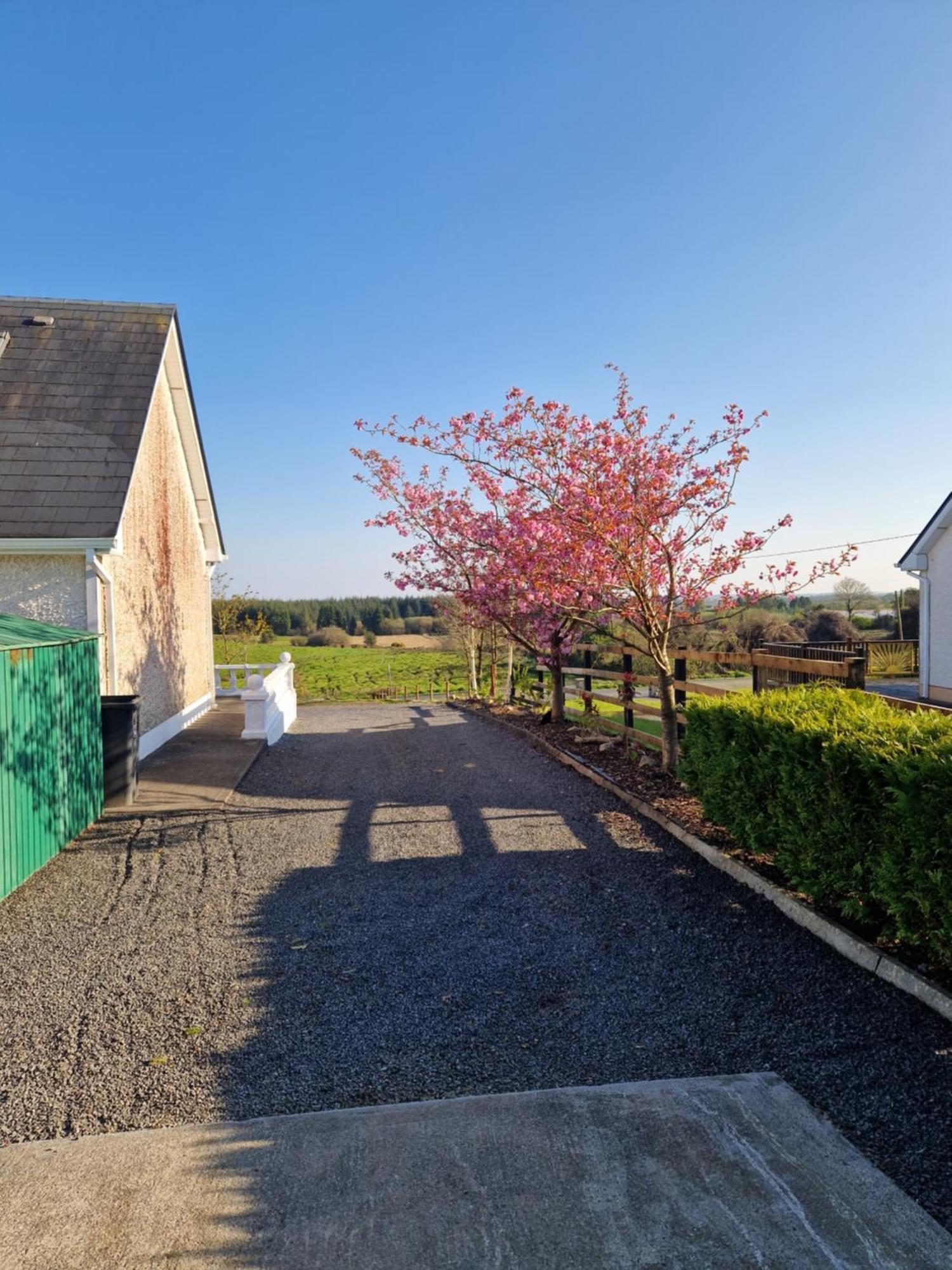 Forest View Dunmore Galway H54P897 Bed and Breakfast Buitenkant foto