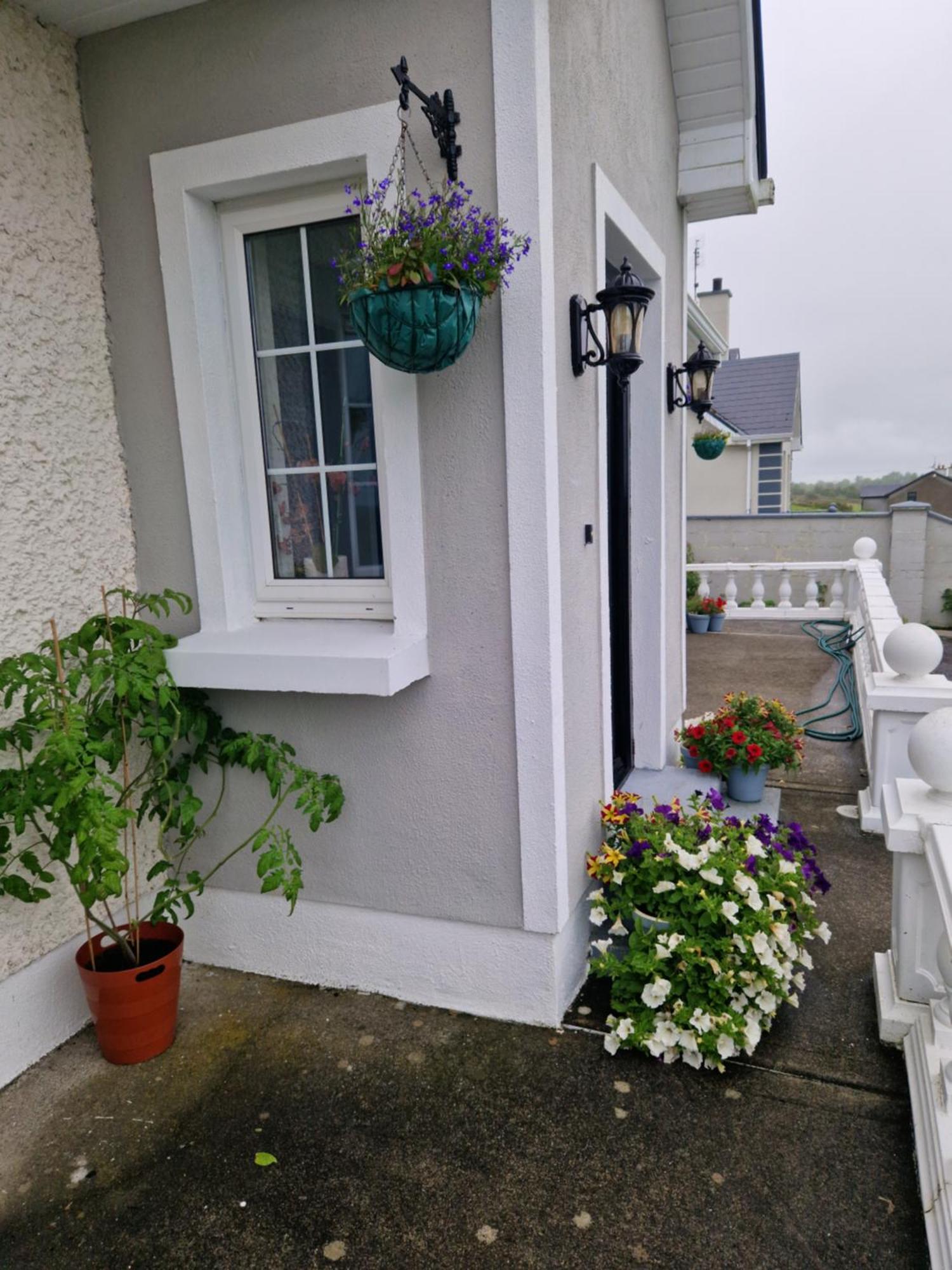Forest View Dunmore Galway H54P897 Bed and Breakfast Buitenkant foto